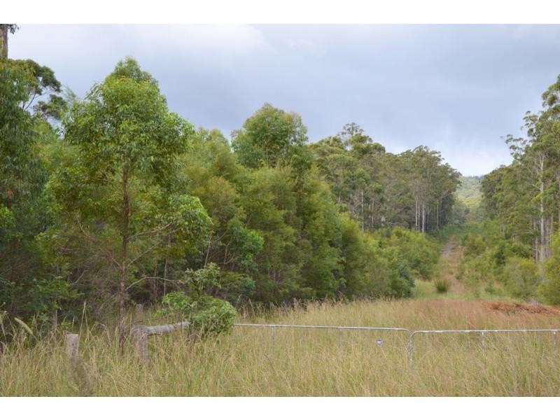 137 Old King Creek Road, King Creek NSW 2446