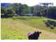 9 Appletree Road, Bellangry NSW 2446