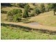 9 Appletree Road, Bellangry NSW 2446
