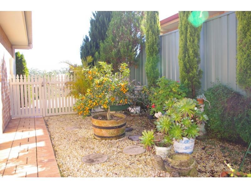 20 Rodlee Street, Wauchope NSW 2446