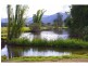 131 Clarefield Dungaycreek Road, Rollands Plains NSW 2441