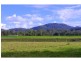 131 Clarefield Dungaycreek Road, Rollands Plains NSW 2441