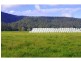 131 Clarefield Dungaycreek Road, Rollands Plains NSW 2441