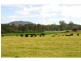 131 Clarefield Dungaycreek Road, Rollands Plains NSW 2441
