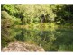 131 Clarefield Dungaycreek Road, Rollands Plains NSW 2441