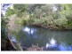 131 Clarefield Dungaycreek Road, Rollands Plains NSW 2441