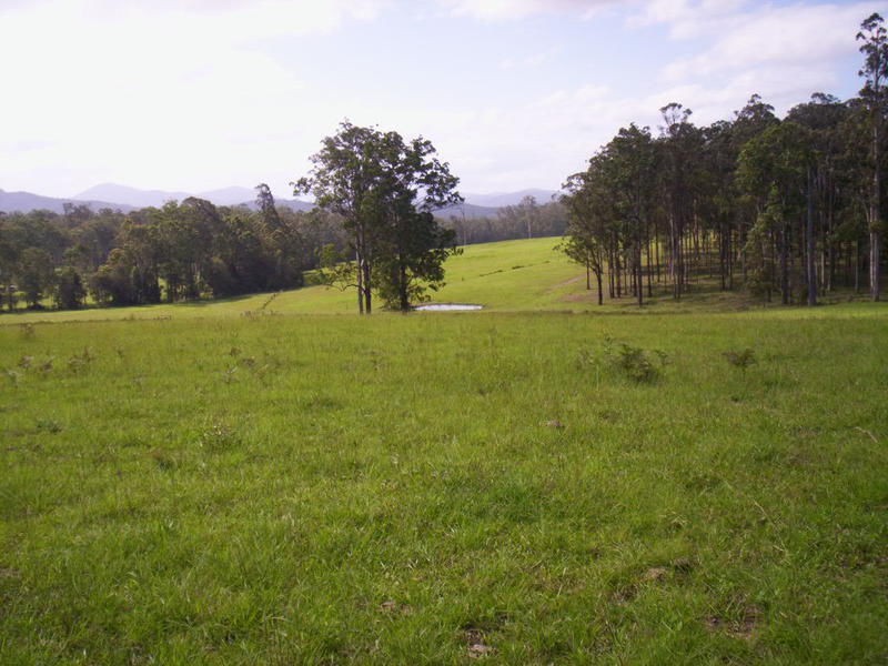 L89 / 258 Waterhole Road, Bellangry NSW 2446