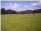 Lot 47 & 89 / 258 Waterhole Road, Bellangry NSW 2446