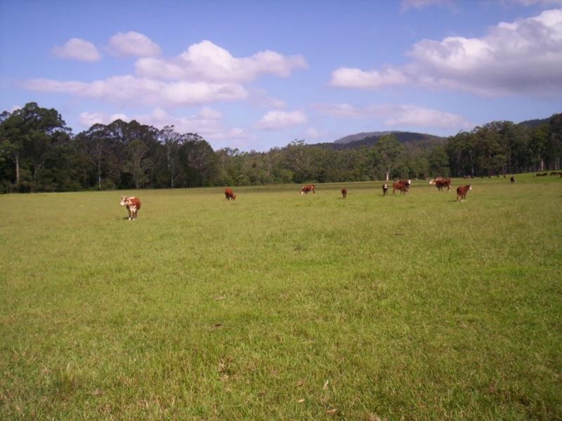 Lot 47 & 89 / 258 Waterhole Road, Bellangry NSW 2446