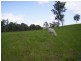 Lot 47 & 89 / 258 Waterhole Road, Bellangry NSW 2446