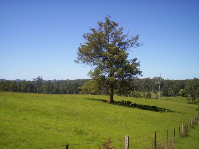 Lot 47 & 89 / 258 Waterhole Road, Bellangry NSW 2446