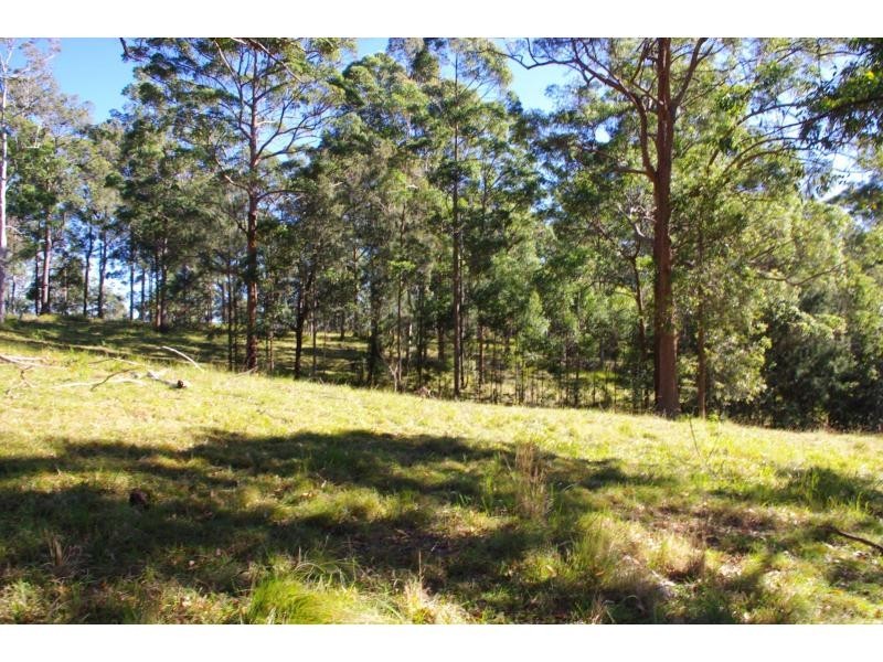 Lot 47 & 89 / 258 Waterhole Road, Bellangry NSW 2446