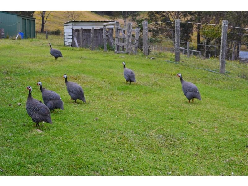 702B Comboyne Road, Byabarra NSW 2446