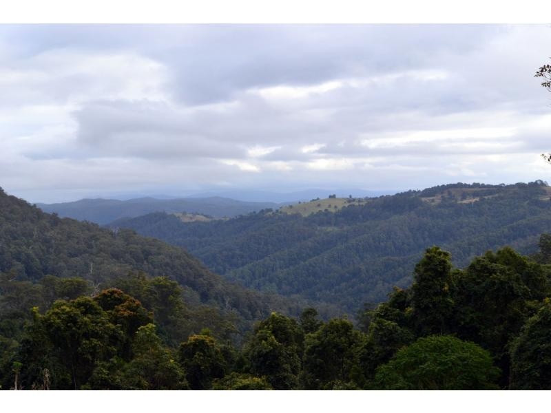 266 Colling Road, Comboyne, Comboyne NSW 2429