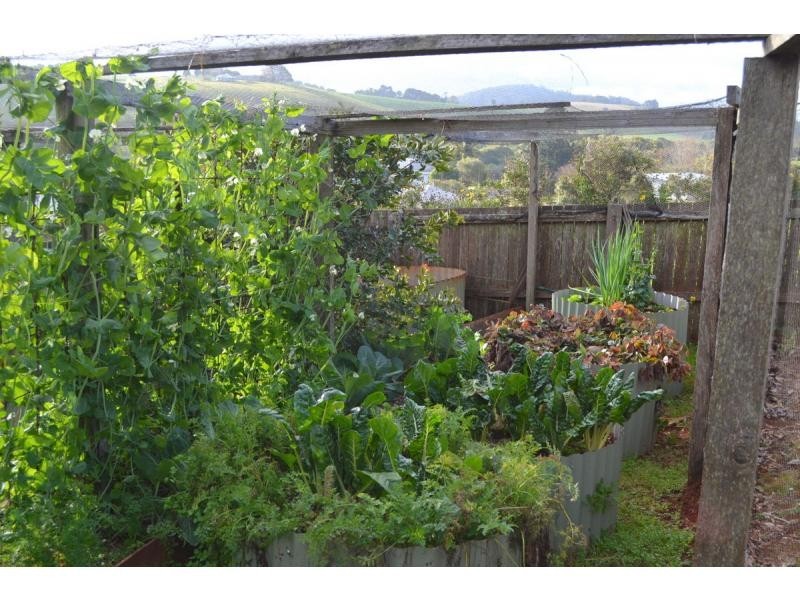 20 Thone Street, Comboyne, Comboyne NSW 2429