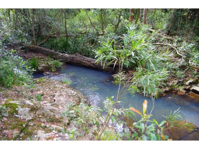 Lot 6, 406 Brookhouse Road, Pembrooke NSW 2446