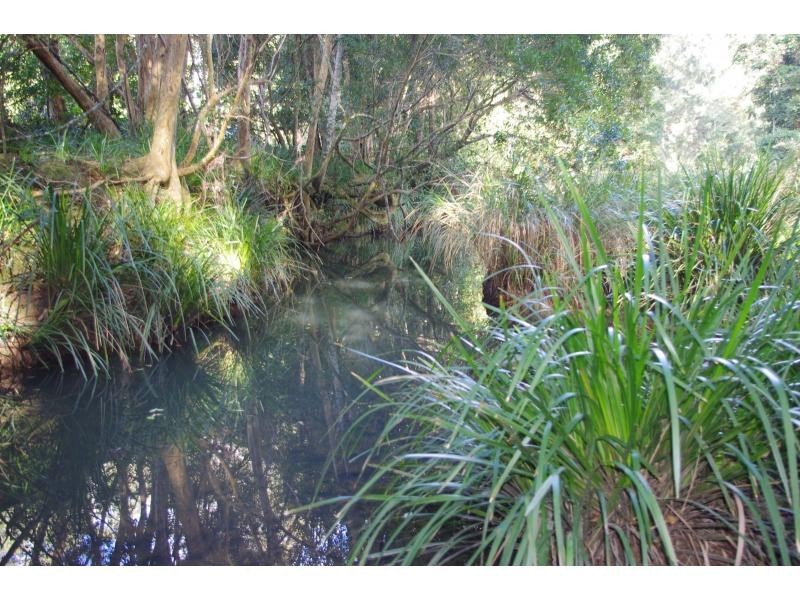 884 Bellangry Road, Bellangry NSW 2446