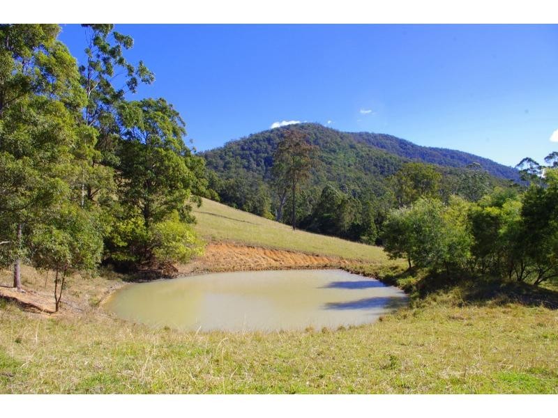 378 Littles Loop Road, Rollands Plains NSW 2441