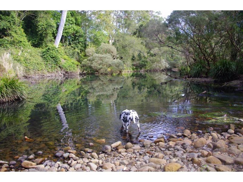 438 Upper Rollands Plains Road, Rollands Plains NSW 2441