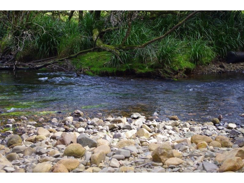 438 Upper Rollands Plains Road, Rollands Plains NSW 2441