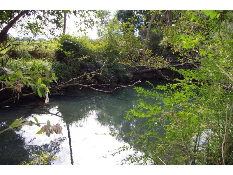 438 Upper Rollands Plains Road, Rollands Plains NSW 2441