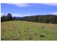 702D Comboyne Road, Byabarra NSW 2446