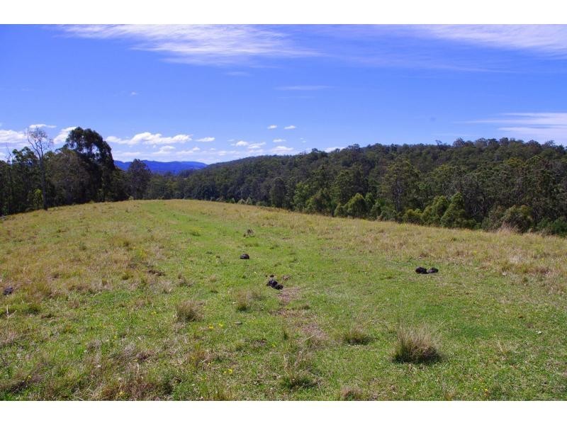 702D Comboyne Road, Byabarra NSW 2446