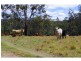 702D Comboyne Road, Byabarra NSW 2446
