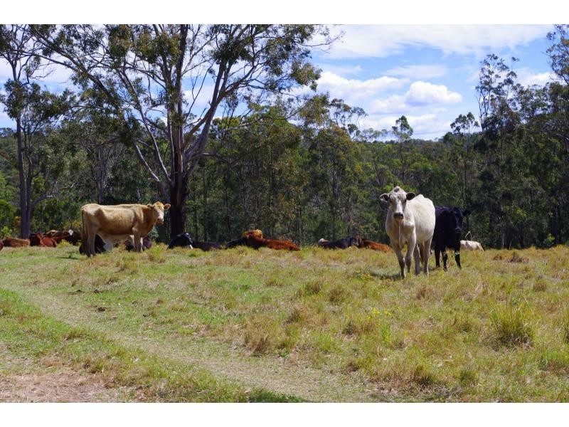 702D Comboyne Road, Byabarra NSW 2446