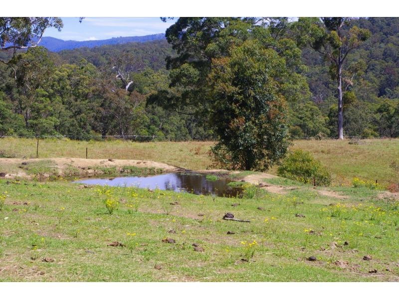 702D Comboyne Road, Byabarra NSW 2446