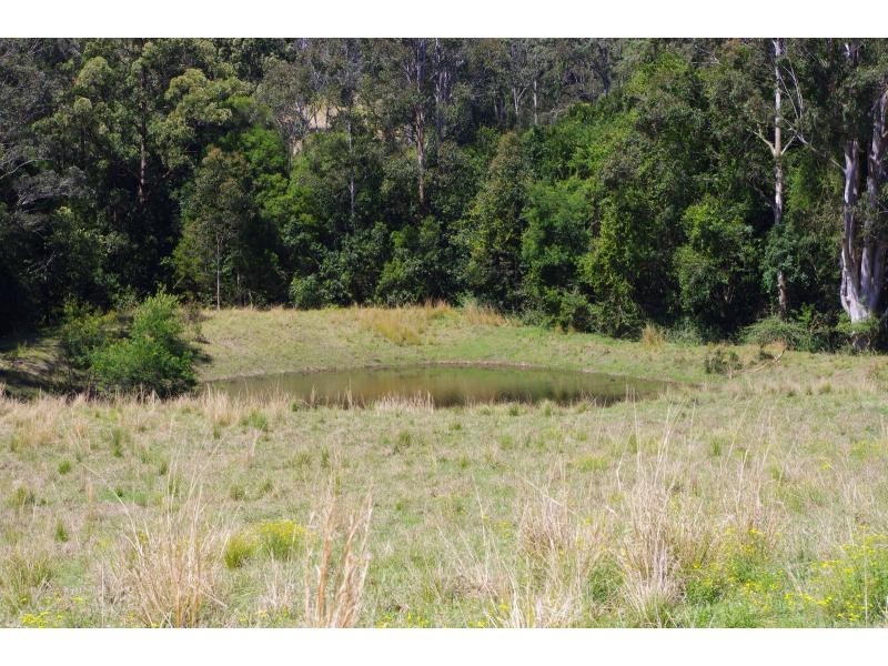 702D Comboyne Road, Byabarra NSW 2446