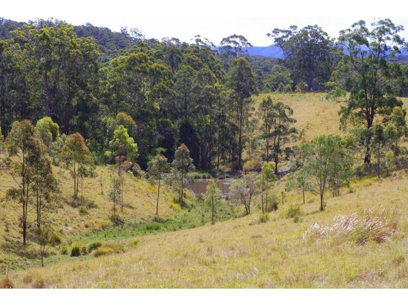 702D Comboyne Road, Byabarra NSW 2446