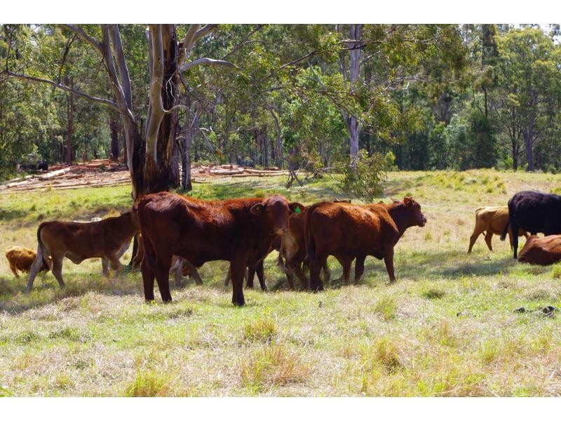 702D Comboyne Road, Byabarra NSW 2446