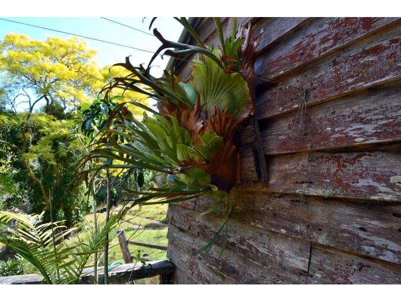 525 Bulli Creek Road, Byabarra NSW 2446