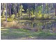 231 Bushland Drive, Wauchope NSW 2446