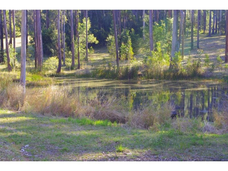 231 Bushland Drive, Wauchope NSW 2446