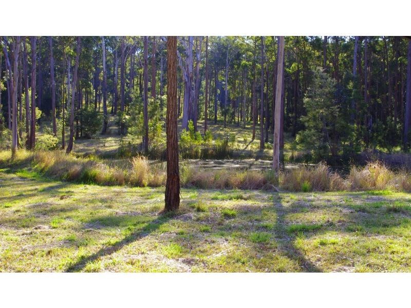 231 Bushland Drive, Wauchope NSW 2446