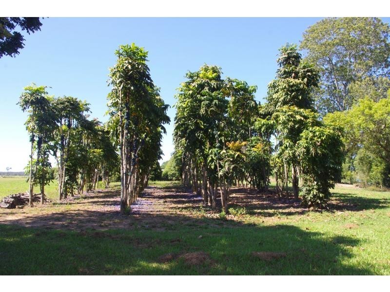 707 Rawdon Island Road, Rawdon Island NSW 2446