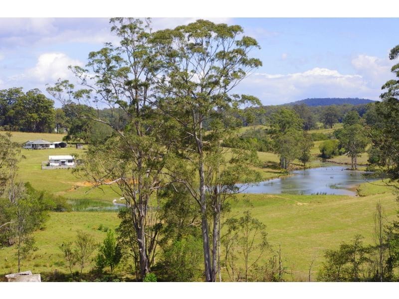 369 Bellangry Road, Bellangry NSW 2446