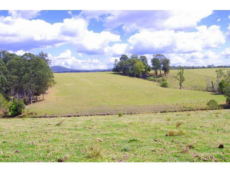 369 Bellangry Road, Bellangry NSW 2446