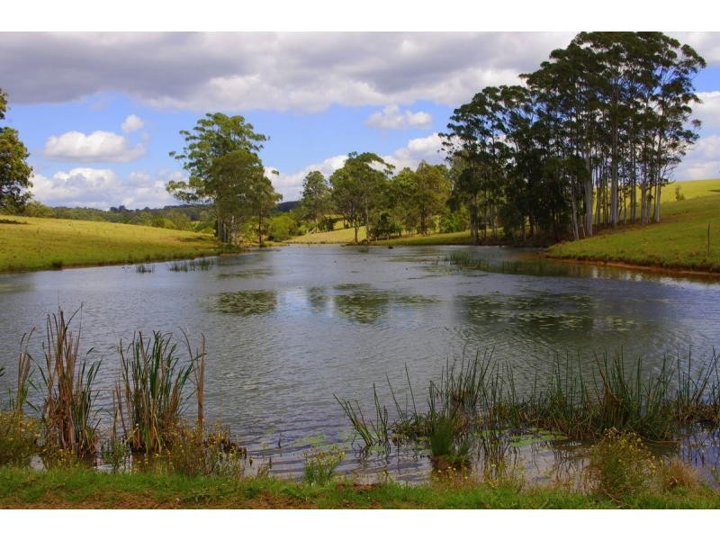 369 Bellangry Road, Bellangry NSW 2446