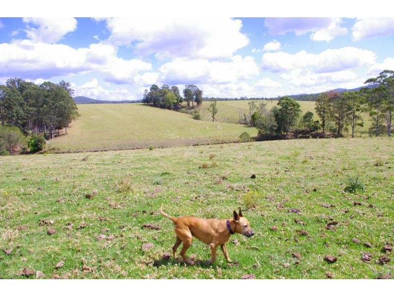 369 Bellangry Road, Bellangry NSW 2446