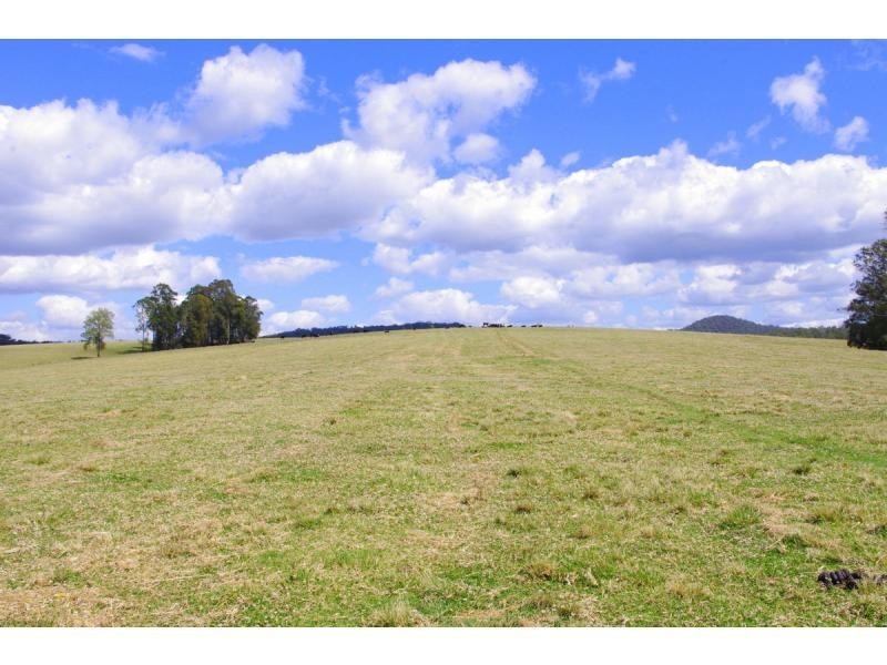 369 Bellangry Road, Bellangry NSW 2446