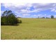 421 Bellangry Road, Bellangry NSW 2446