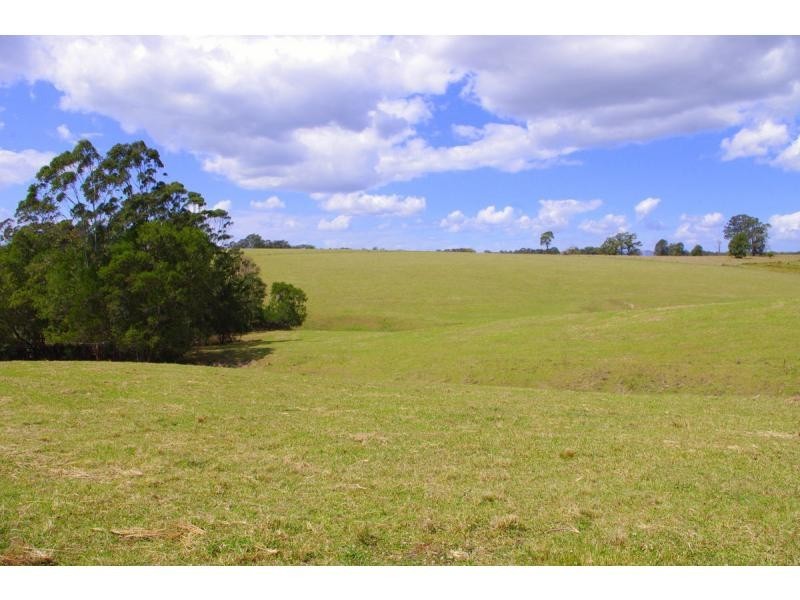 421 Bellangry Road, Bellangry NSW 2446