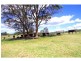 421 Bellangry Road, Bellangry NSW 2446
