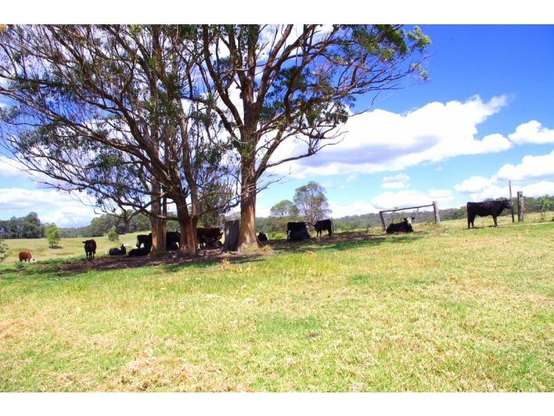 421 Bellangry Road, Bellangry NSW 2446