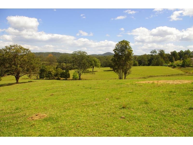 421 Bellangry Road, Bellangry NSW 2446