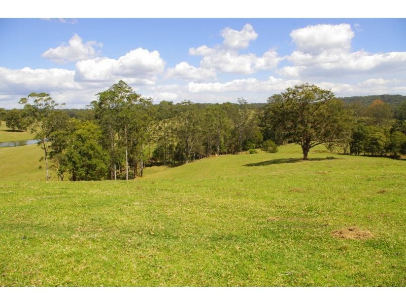 421 Bellangry Road, Bellangry NSW 2446