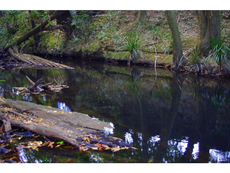 421 Bellangry Road, Bellangry NSW 2446